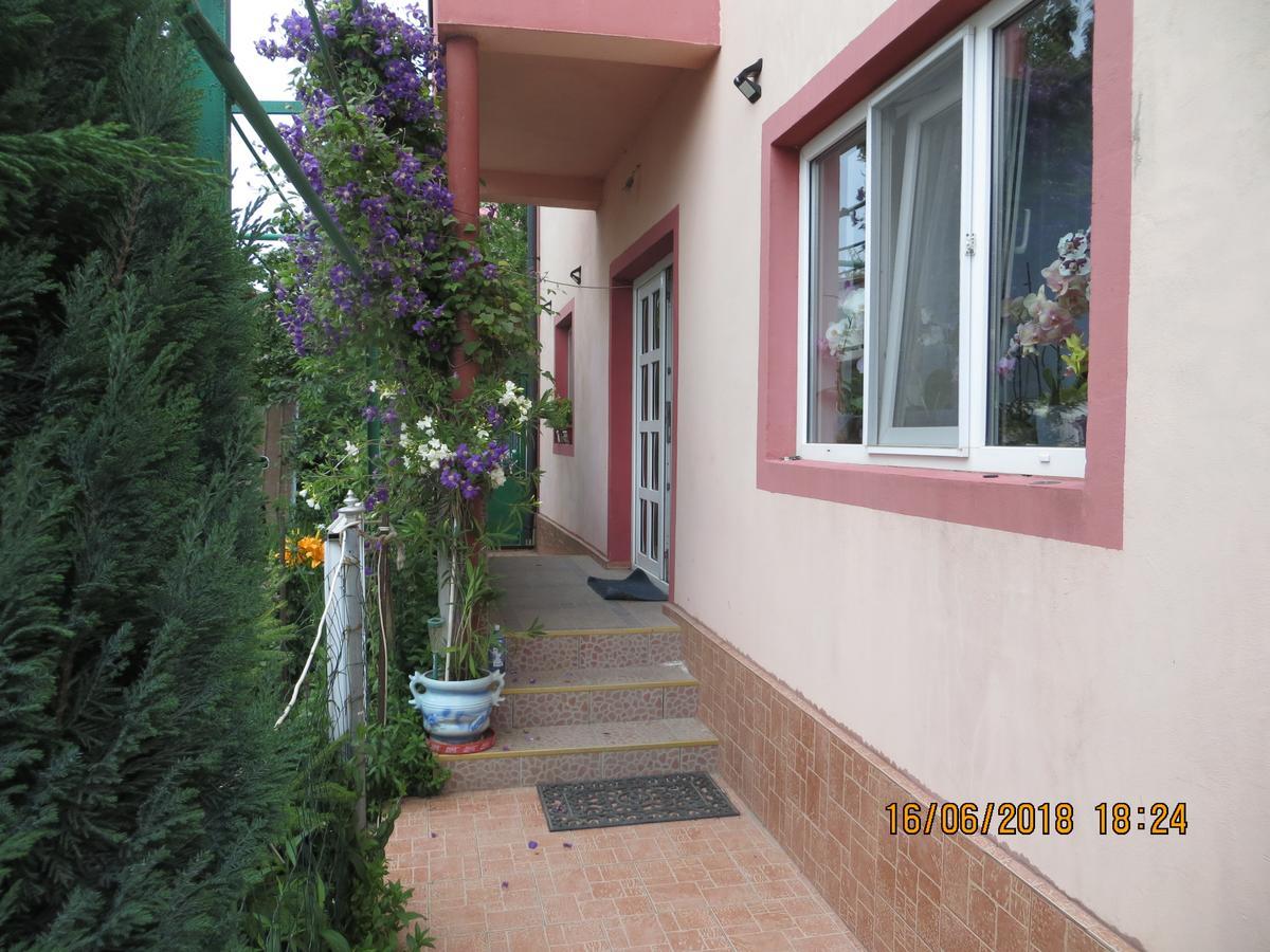 Vila Mihai Navodari Luaran gambar